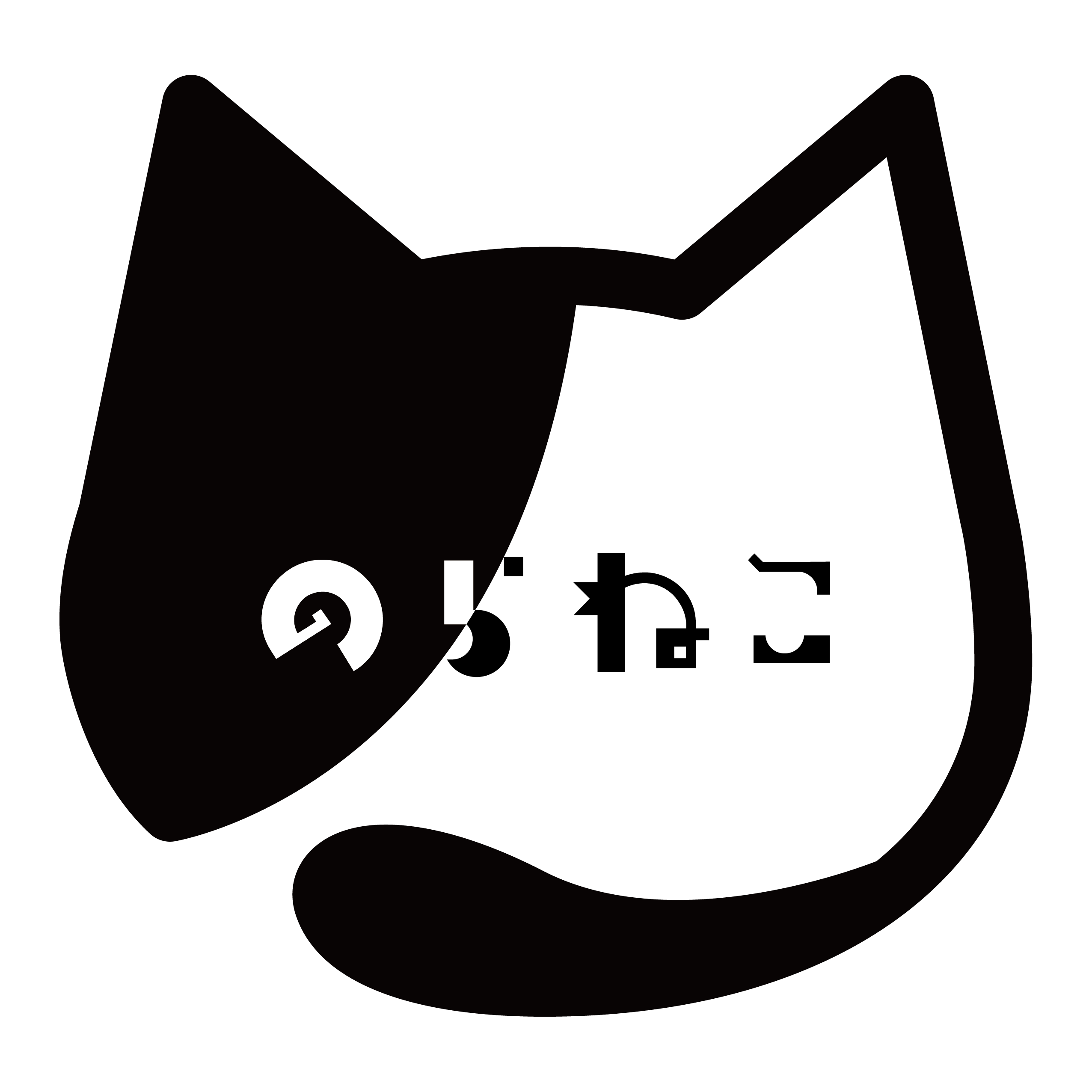 学生団体のらねこ